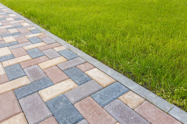 Best Professional Driveway Pavers  in Three Rivers, TX